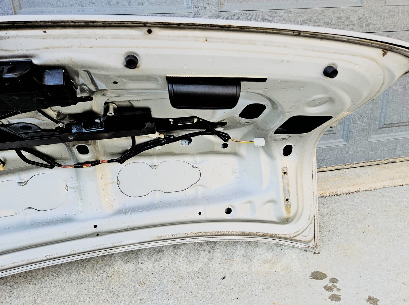 06-08 Lexus Is250 Rear Trunk Lid Silver cc:1G1 64401-53140 Oem Used