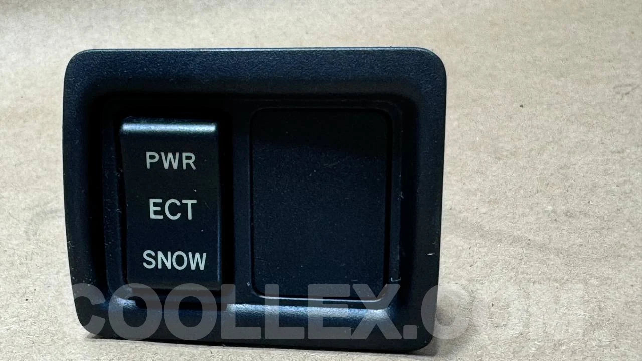 Cruise Control Switch OEM Used